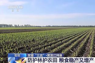 梅西与乐事推出了马黛茶口味薯片？你能想象出这个味道吗……